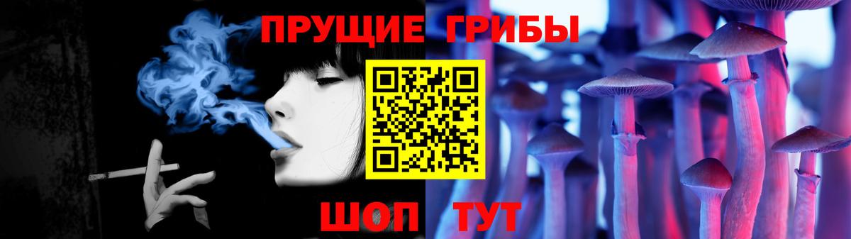 Псилоцибиновые грибы Cubensis Новоалександровск